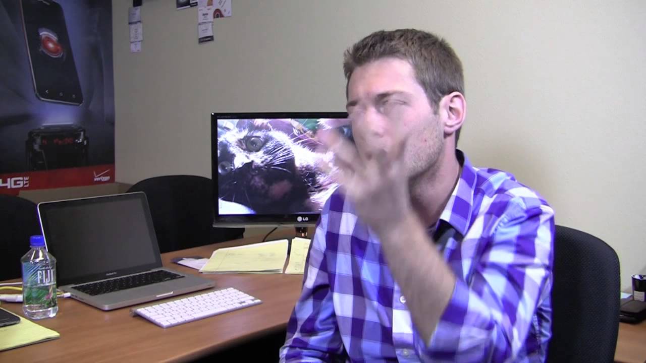 PhoneDog is becoming FoneKat, complete with Kitty Hands! (April Fool's)
