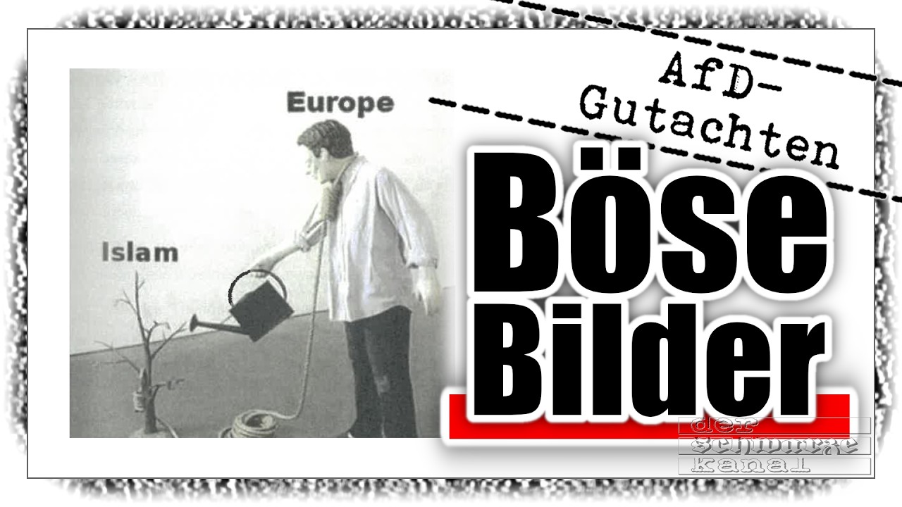 Mit Memes der AfD will der Verfassungsschutz ihren Extremismus beweisen.