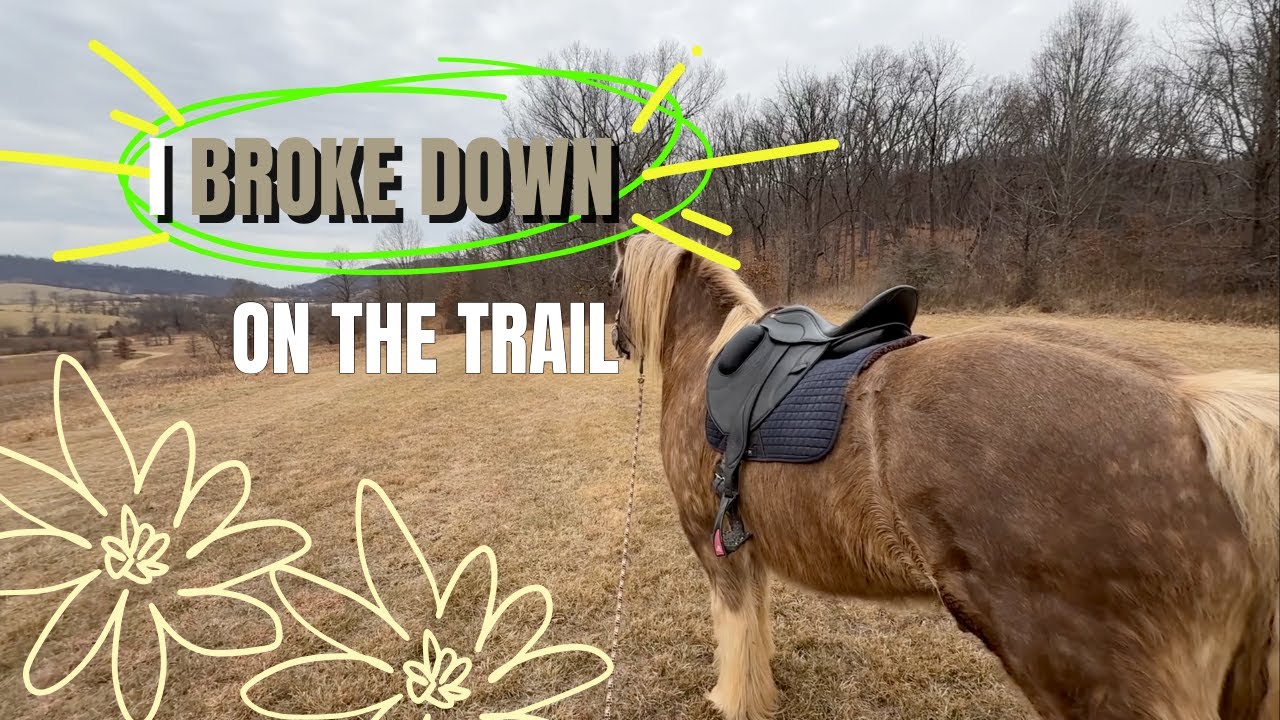 The Trail Ride Didn’t Go As Planned | Balancing Life, Writing, and the Saddle as a Writer & Rider