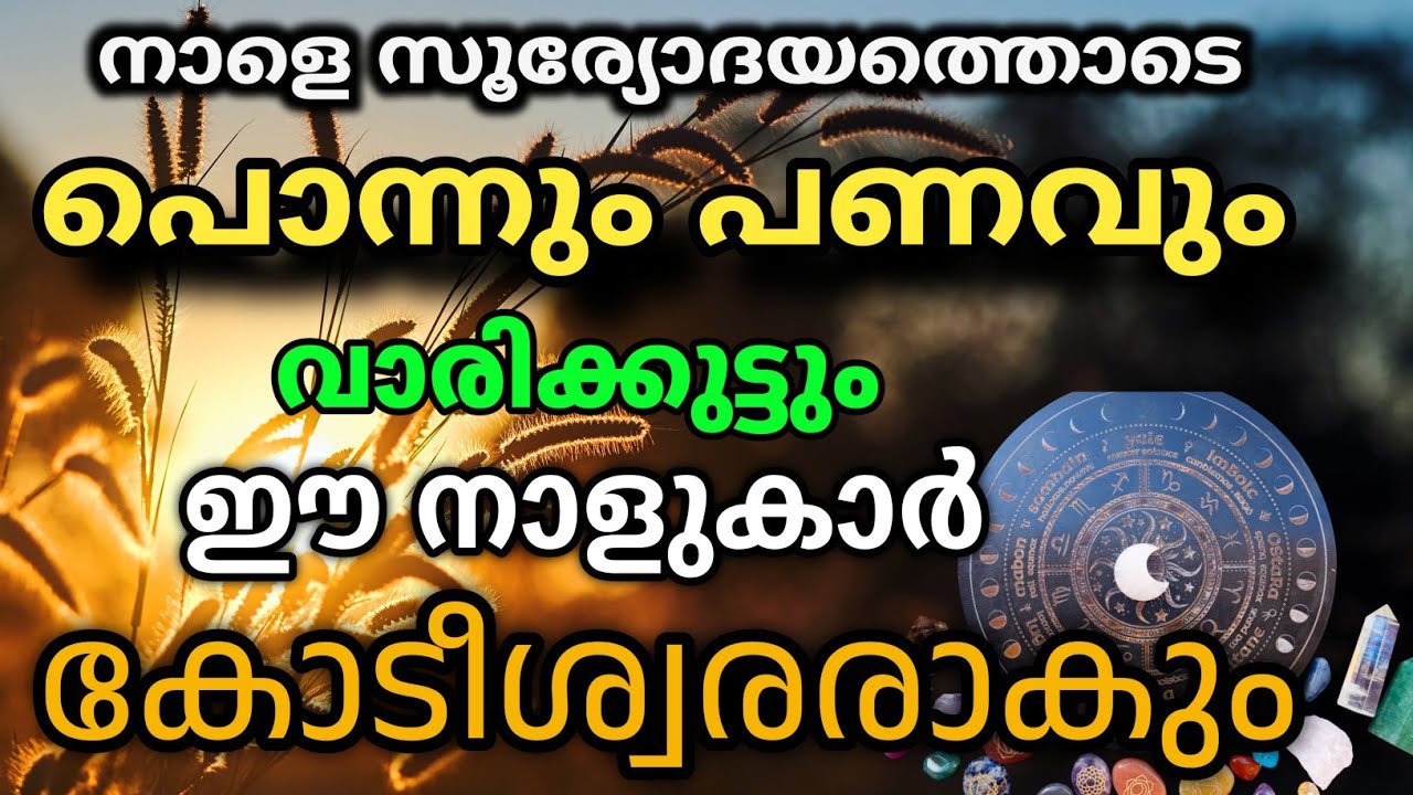 നാളെ സൂര്യോദയത്തോടെ ഈ നക്ഷത്രക്കാർ പൊന്നും പണവും വാരിക്കുട്ടും! 2029 വരെ കോടീശ്വര യോഗം