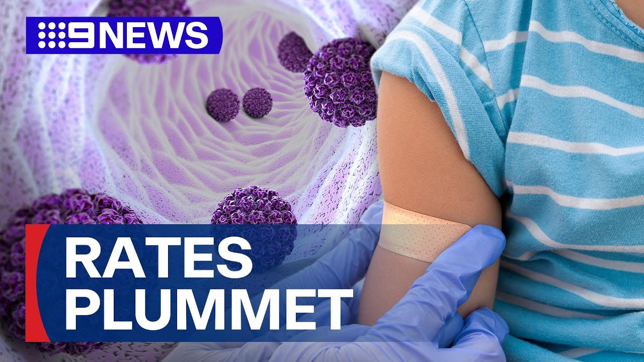 Queensland's school immunisation program drops to a six-year low | 9 News Australia