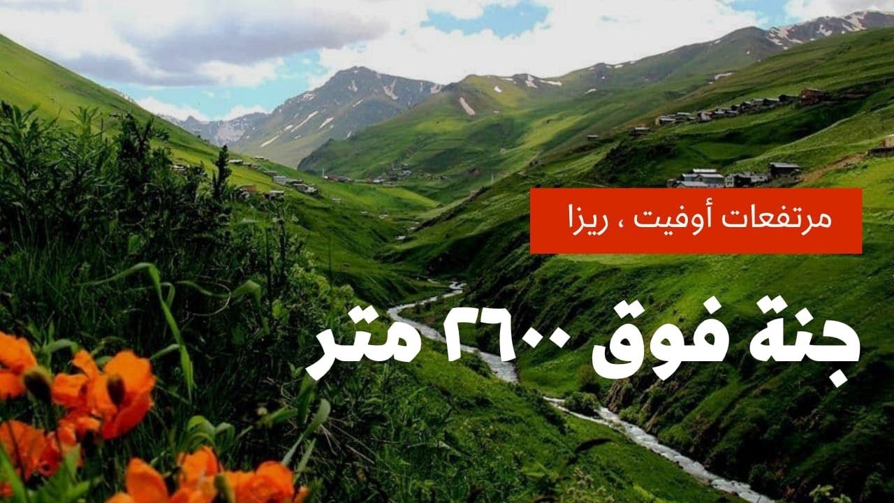 ماذا ينتظرك فوق 2600 متر في ريزا / مرتفعات أوفيت / الطبيعة الغير تقليدية في الشمال التركي