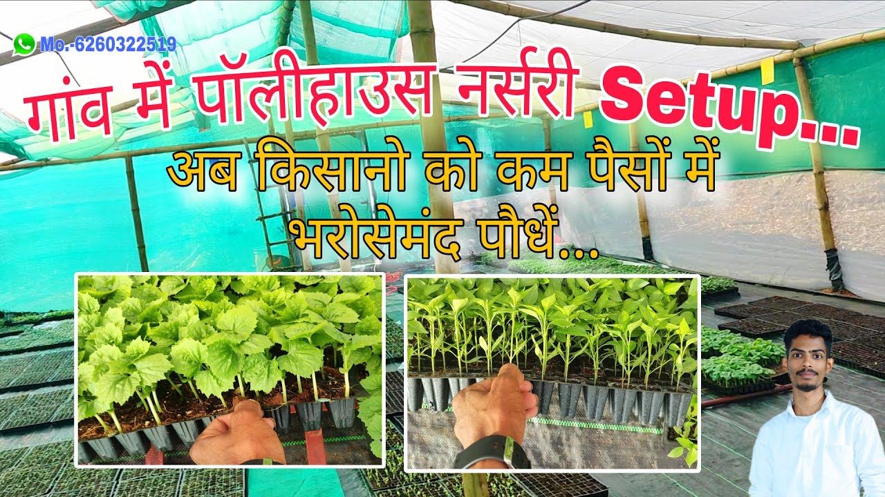 Village Nursery Setup in Polyhouse Shednet|गांव में सब्जी नर्सरी तैयार पॉलीहाउस में और शेड नेट में