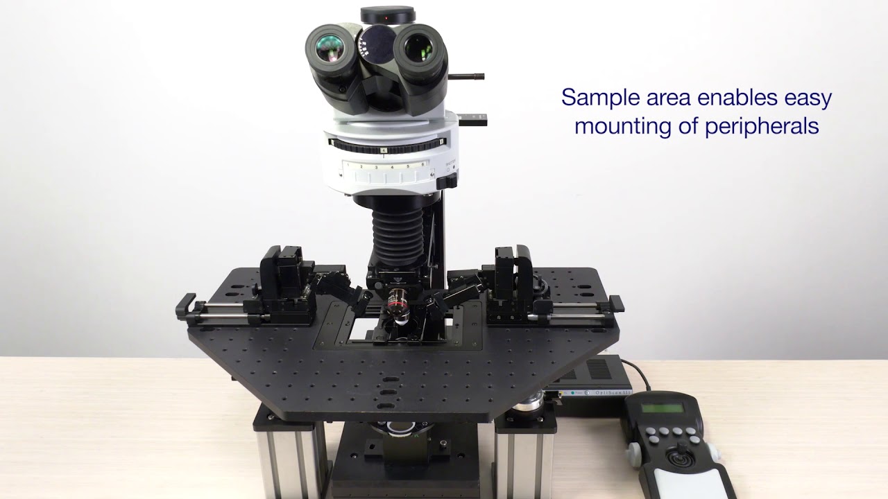 Olympus OpenStand™ Microscope Frame