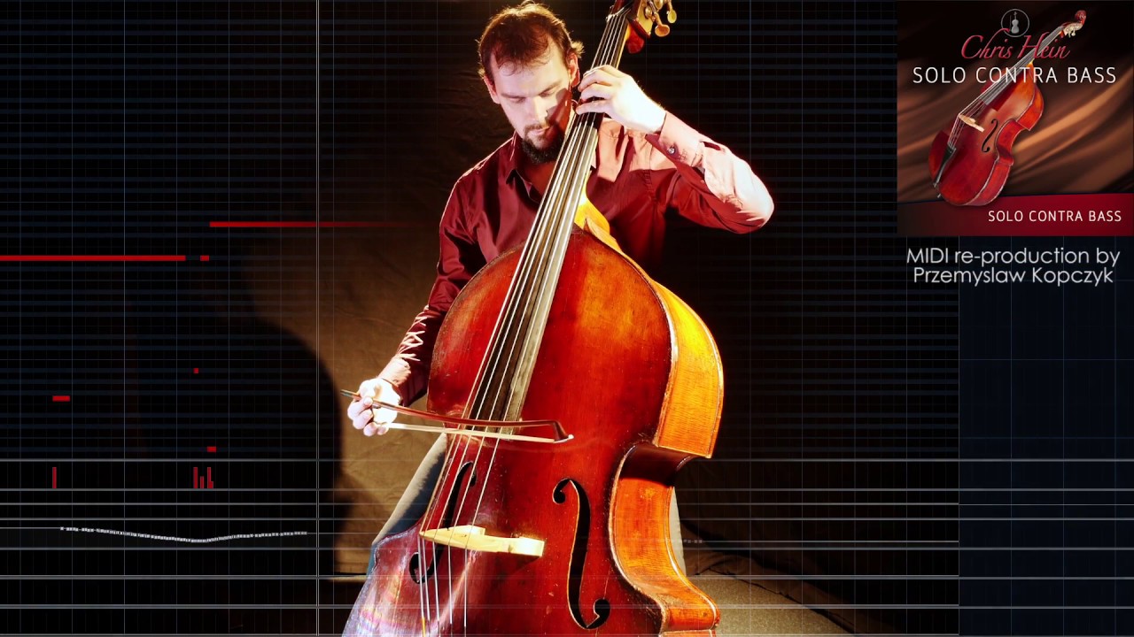 Chris Hein - Solo Contrabass 