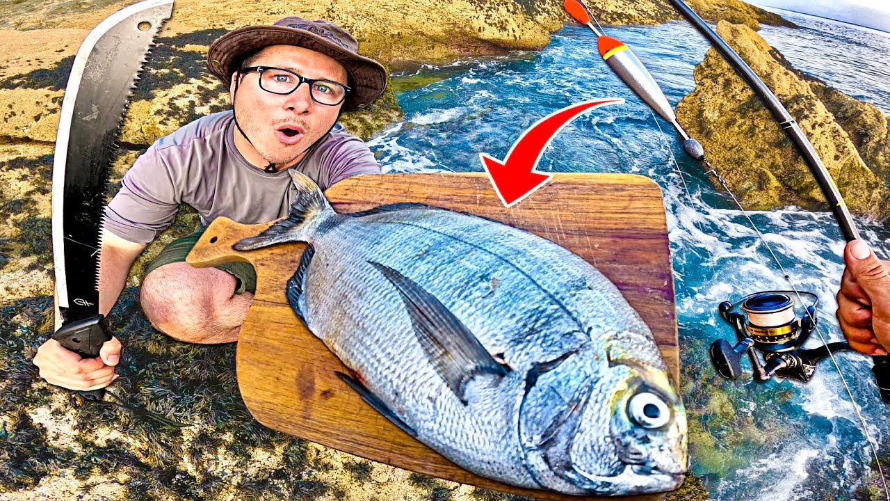 Pêcher et manger mon poisson sur une île paradisiaque isolée !! ( Catch and Cook )