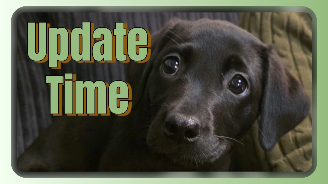 Update Time