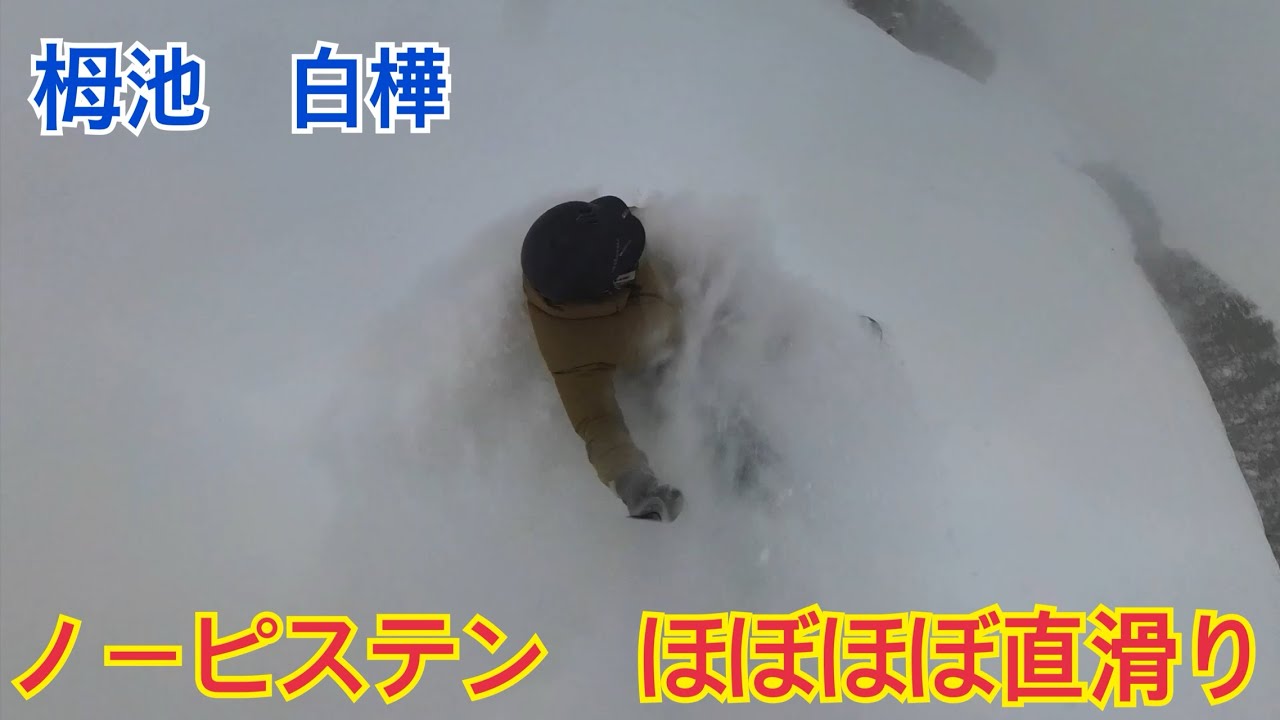 #271 2026/1/22 栂池　powder No ピステン　ほぼ直滑り！
