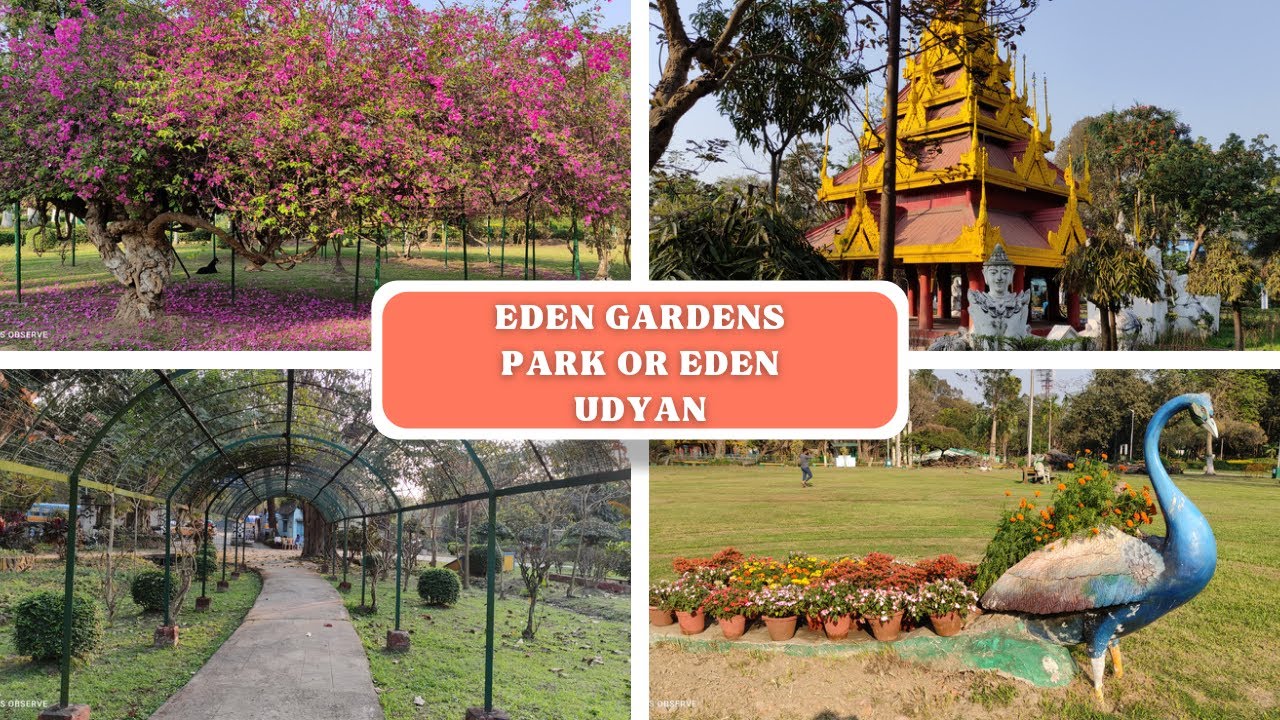 Can We Go Inside Eden Gardens? Eden Gardens Park Or Eden Udyan Kolkata