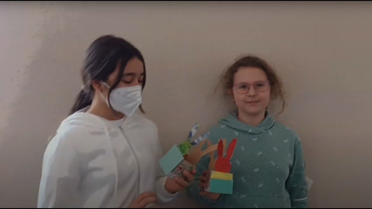 Klimatag 2022 am Schiller-Gymnasium Offenburg - Der Film