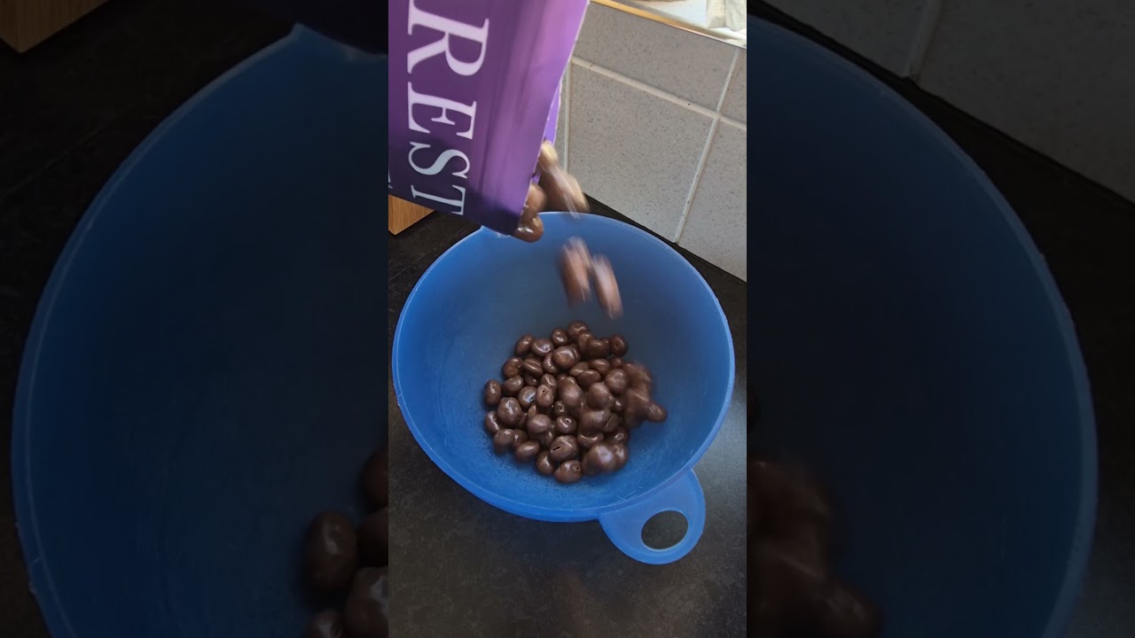 Belgian Milk Chocolate Jumbo Raisin #sweets#chocolate#youtubeshorts#satisfying