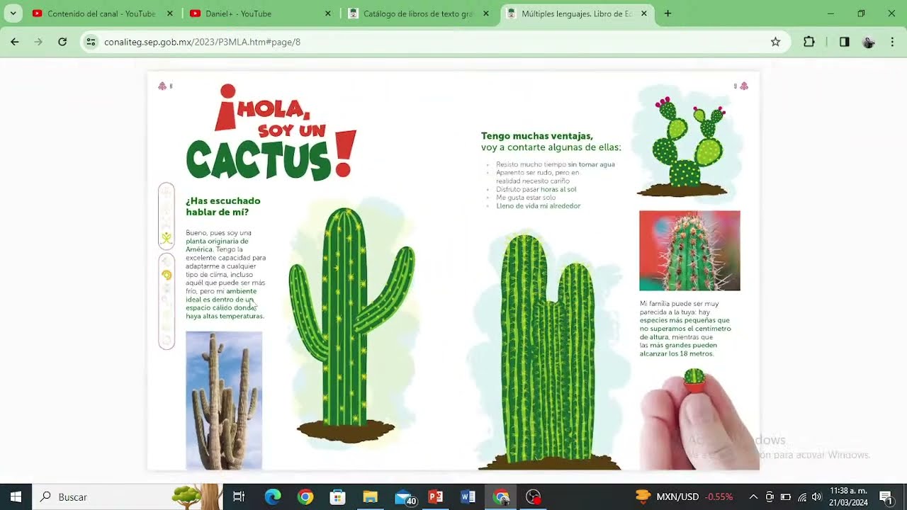 HOLA, SOY UN C&Aacute;CTUS - M&uacute;ltiples Lenguajes, 1o de Primaria #maestro #escuela #clases #biologia 