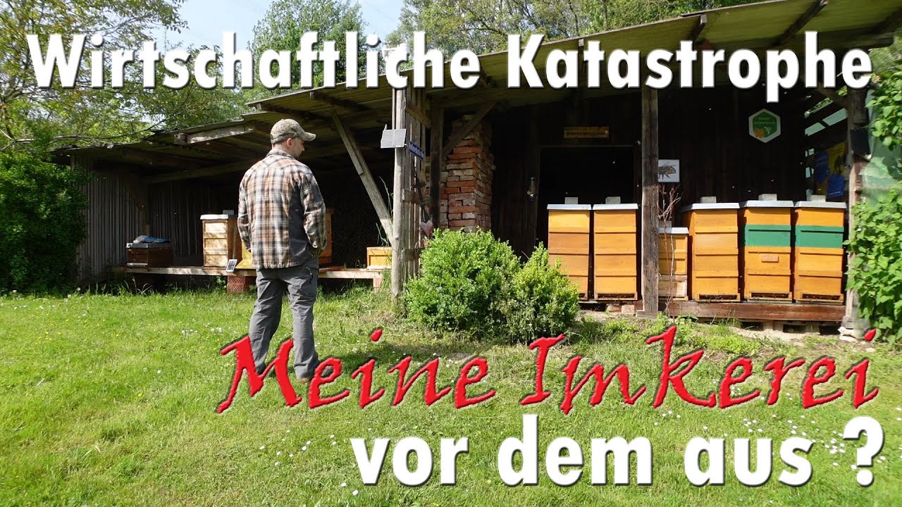 Wirtschaftliche Katastrophe meine Imkerei vor dem aus ?