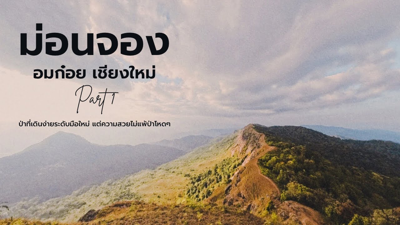 ม่อนจอง เชียงใหม่ EP.1 - ป่าเดินง่ายที่จริงใจ มือใหม่ไปได้