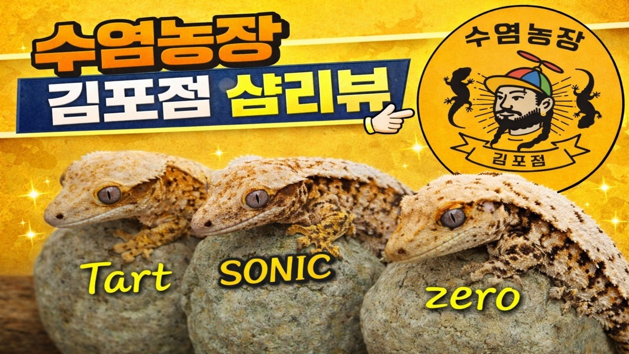 수염농장 김포점 샵리뷰!!!수농 김포점 다 파헤쳤습니다!!!#oktv #크레스티드게코 #오케이게코 #반려동물 #파충류 #파충류샵 #수염농장