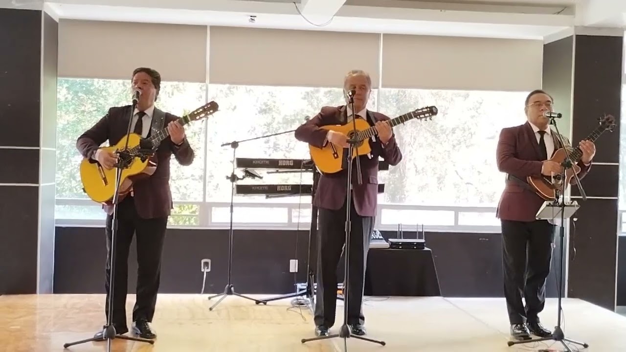 RAYITO DE LUNA ( Chucho Navarro ) TRIO DEL ANGEL ❤️🎶🎵🎸💯😺