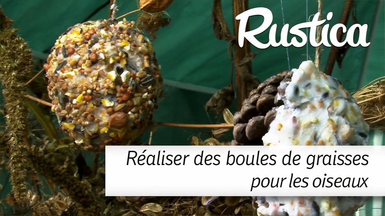 Réaliser des boules de graisses pour les oiseaux