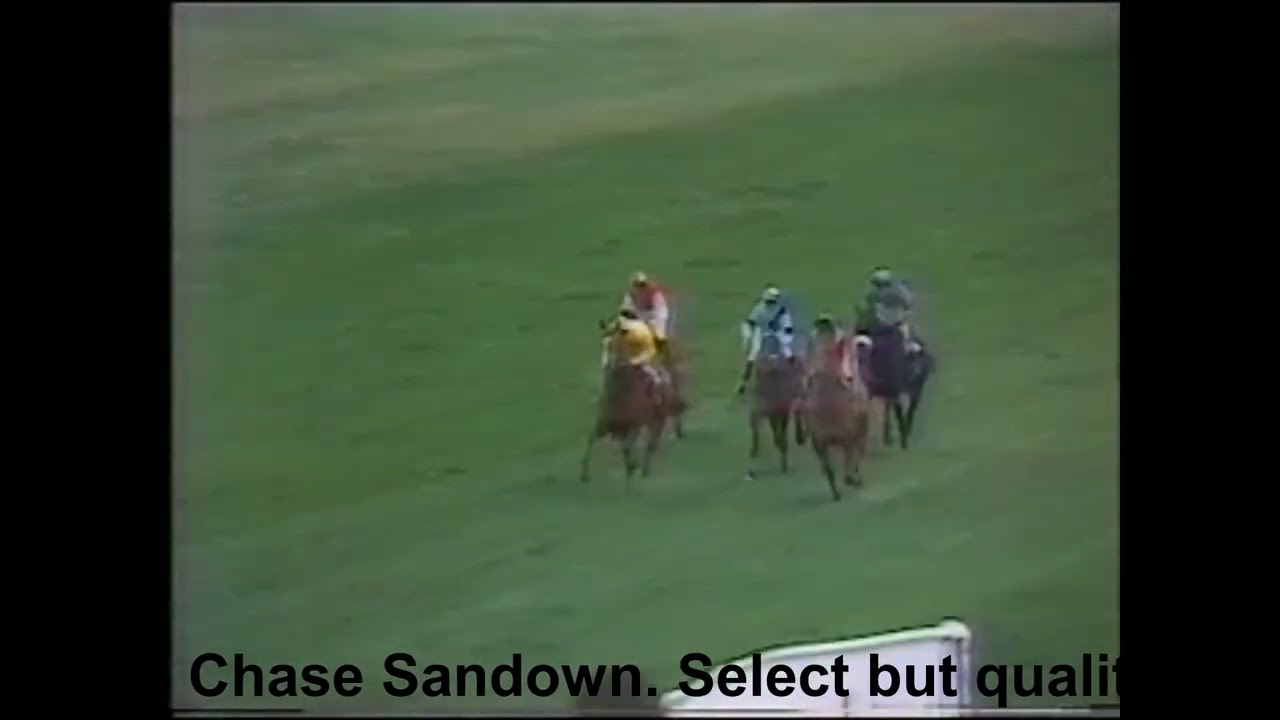 1985 Anthony Mildmay & Peter Cazalet Handicap Chase Sandown