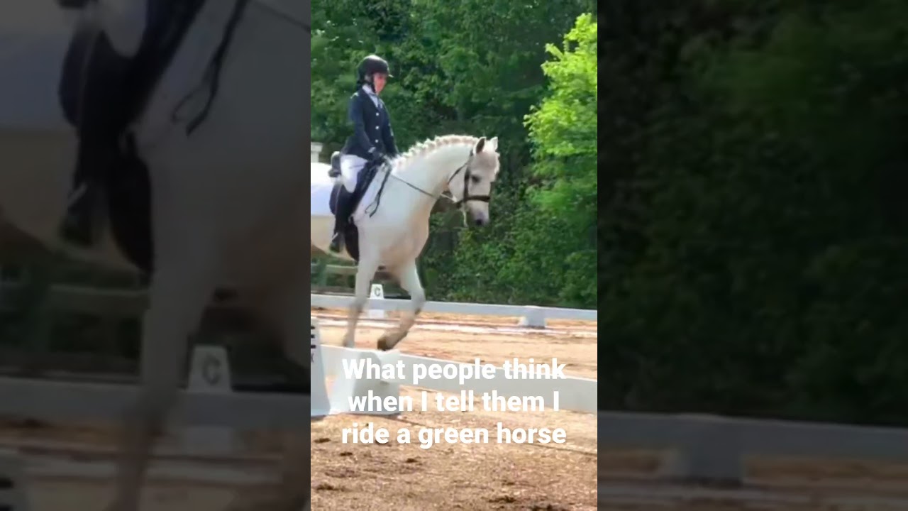 What people think when I tell them I ride a green horse 💚#dressage #horse #equestrian #pony #funny