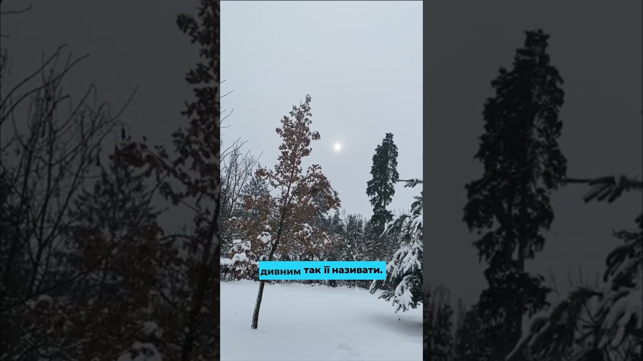 Мама вернулася