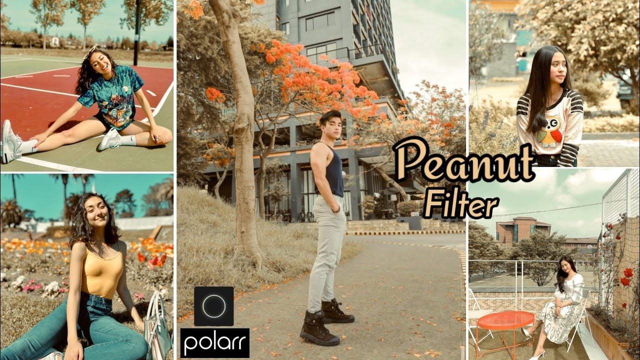 Tutorial edit foto pakai hp | Peanut Filter | Polarr Photo Editor