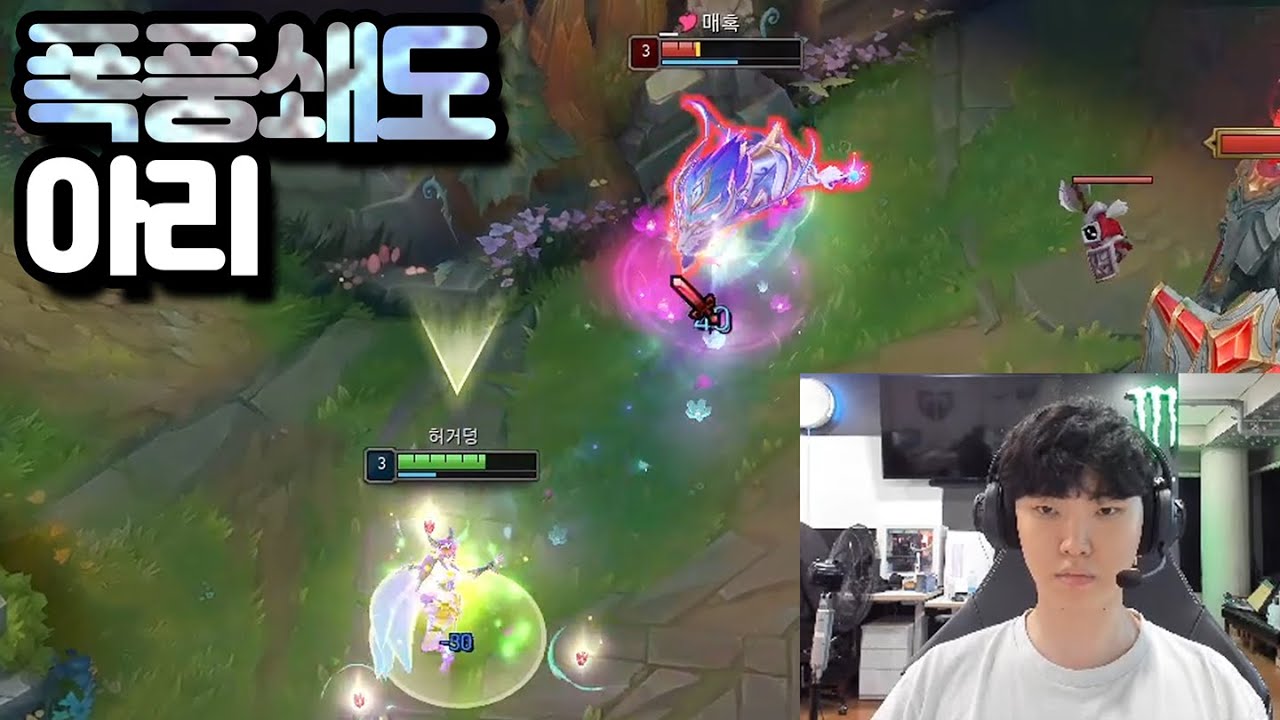 아리의 새로운 방향을 제시하는 쵸비