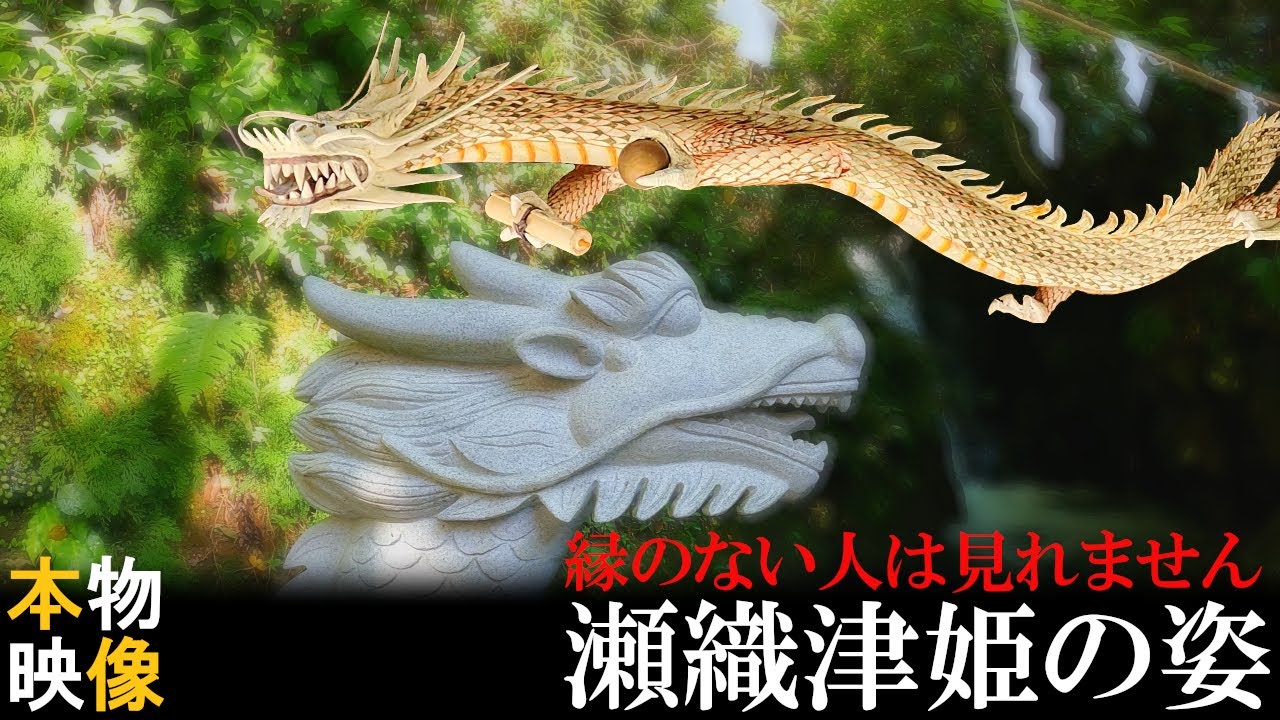 ⚠️神回※もし逃したら二度とありません※瀬織津姫様が降臨しました｜速川神社遠隔参拝221