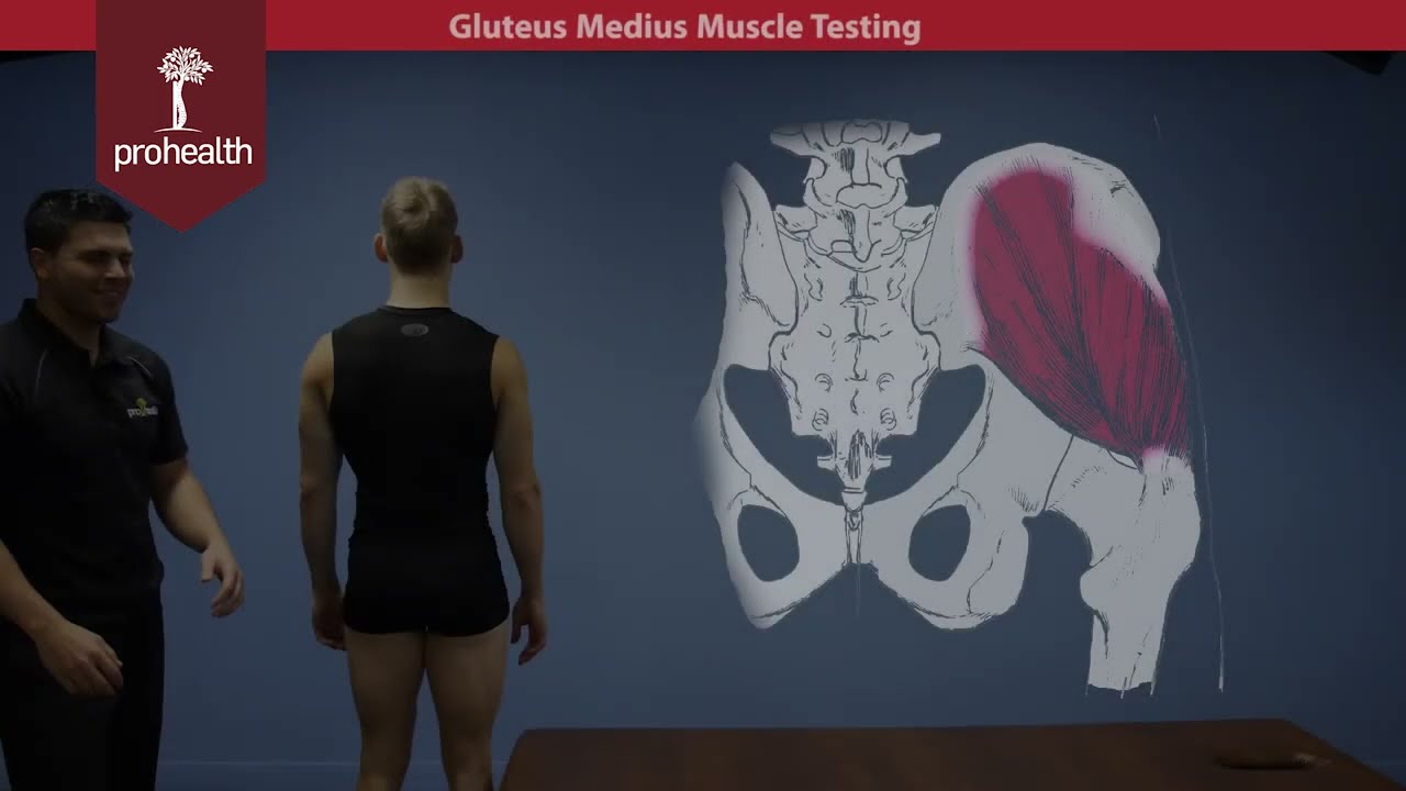 Gluteus Medius Muscle Test Palp DR Nikita Vizniak Muscle Manual