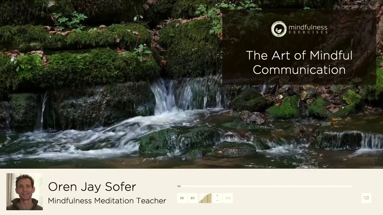 The Art of Mindful Communication &ndash; A Guided Mindfulness Talk by Oren Jay Sofer