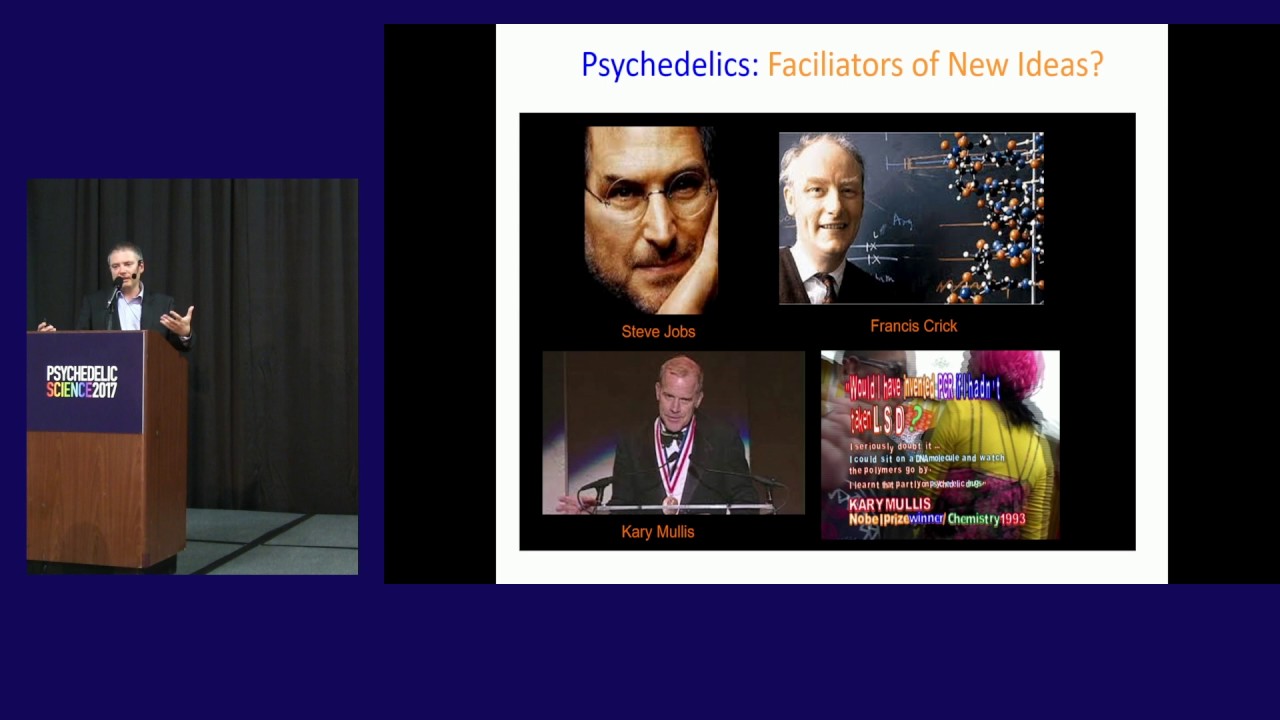 Jordi Riba: New Ayahuasca Research Findings, From Enhancing Mindfulness to Promoting Neurogenesis