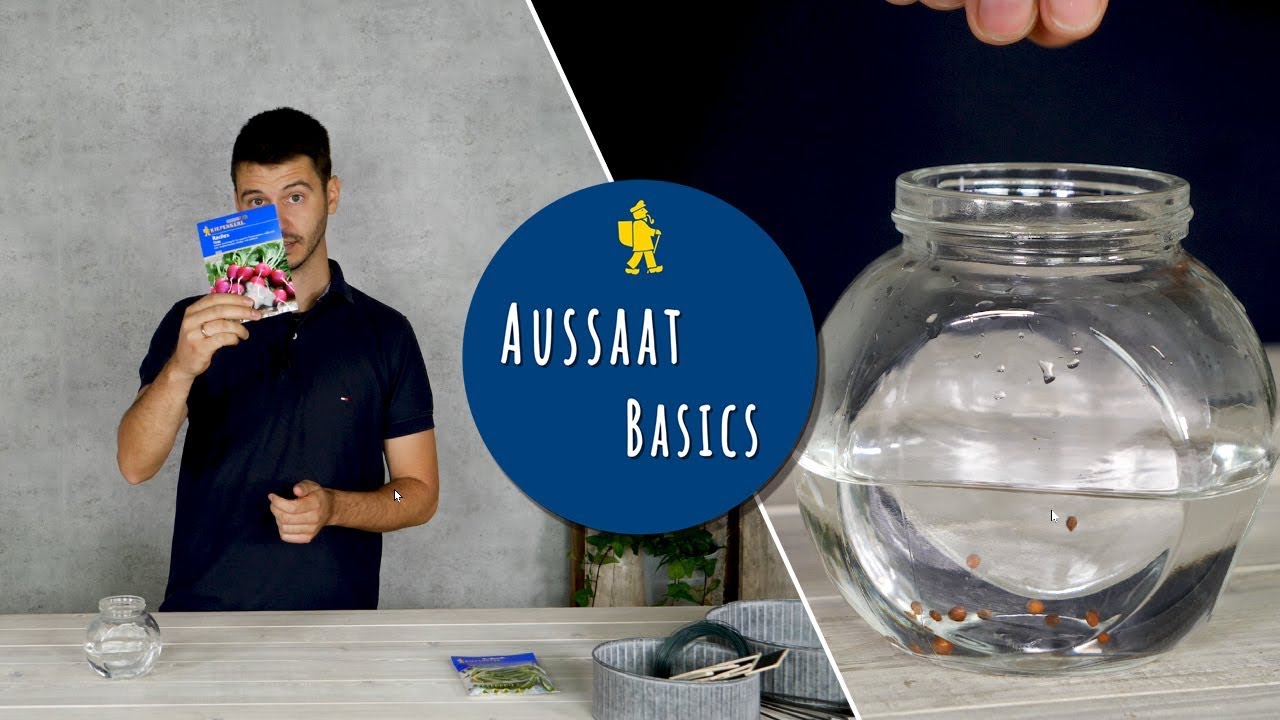 Keimfähigkeit von Saatgut prüfen - Ist mein Saatgut noch keimfähig?