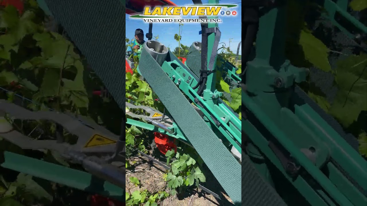Vineyard Tucking Machine - Mechanical Shoot Positioner