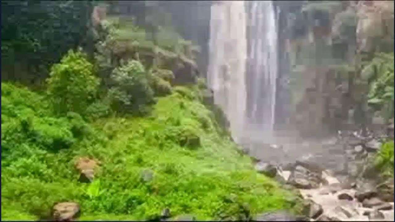 SILENCE LIVESTREAM