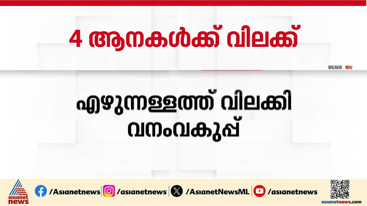 കോട്ടപ്പടിയിലെ ആനകളുടെ തലപ്പൊക്ക മത്സരം; നാല് ആനകൾക്ക് എഴുന്നള്ളിപ്പിന് വിലക്ക്