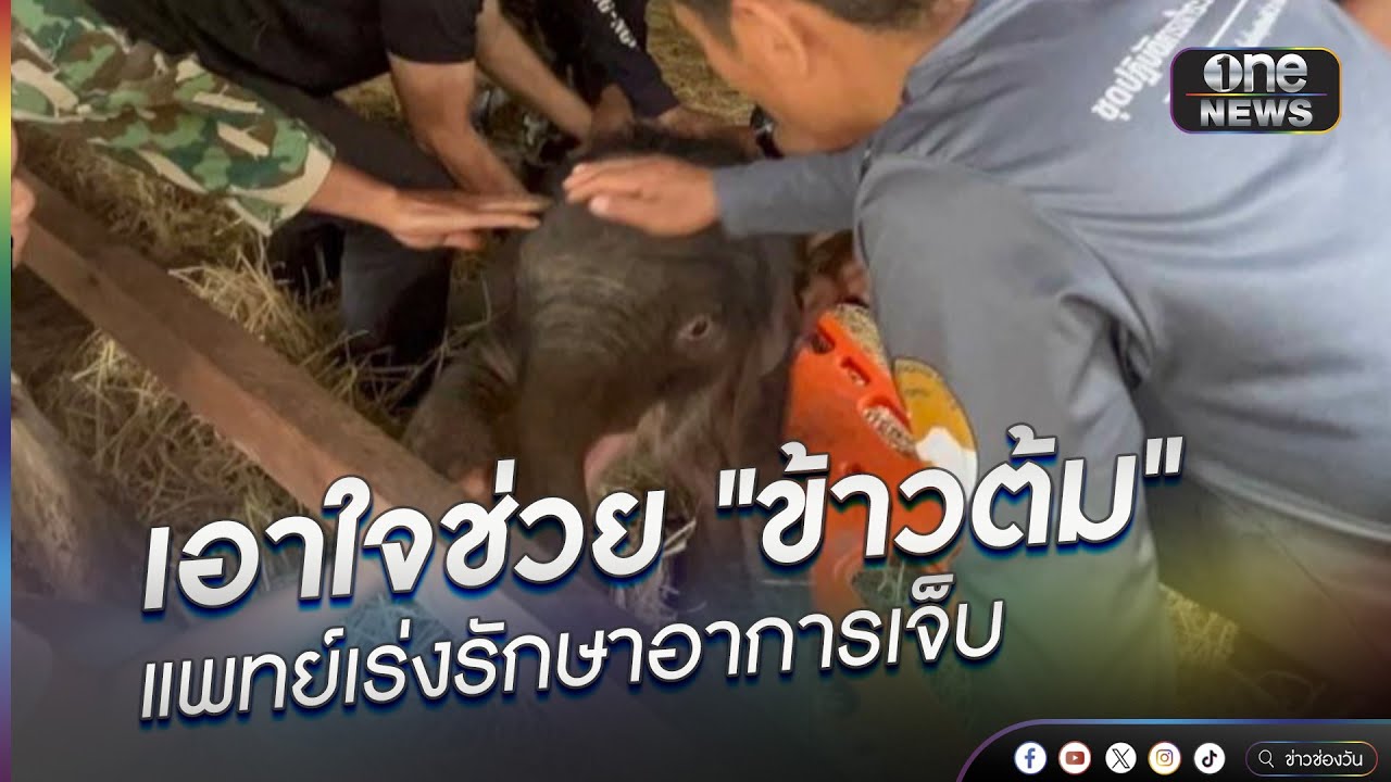 เอาใจช่วย 