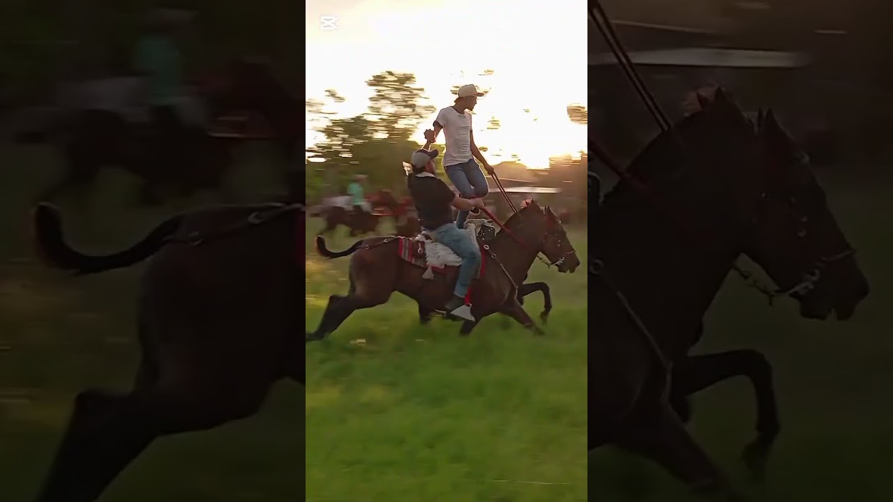 Carreras  de la costa caribe 