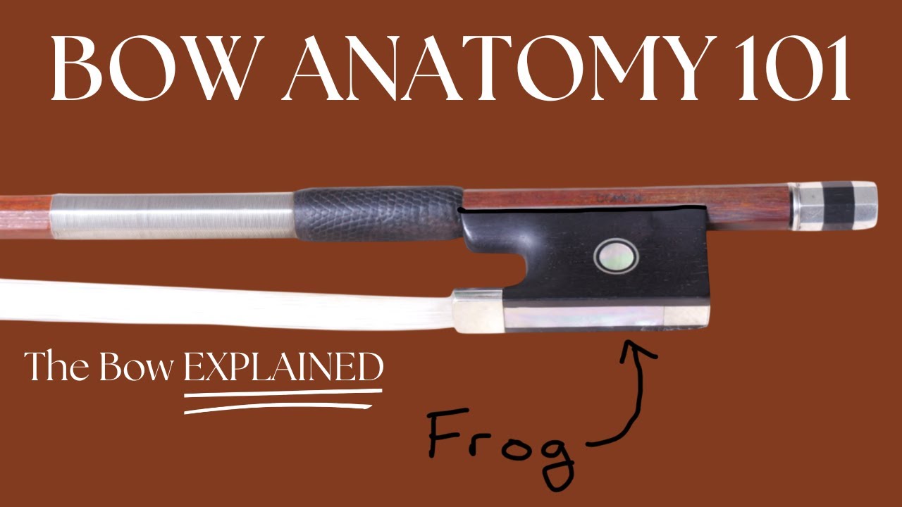 Explained: Parts of the Bow