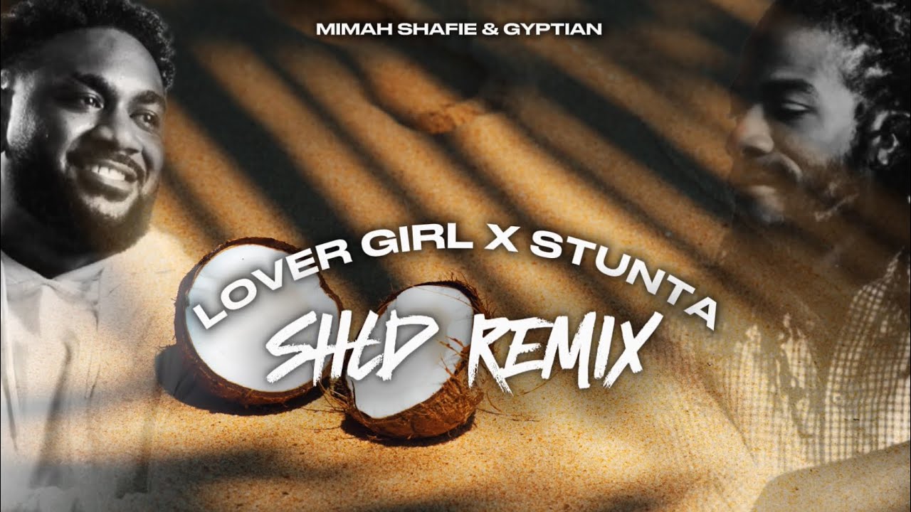 SHLD - Lover Girl Vs. Stunta (Remix)