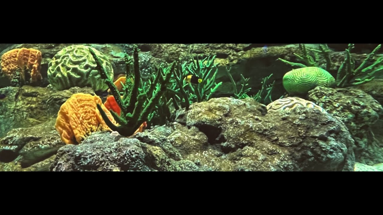 Singapore Oceanarium