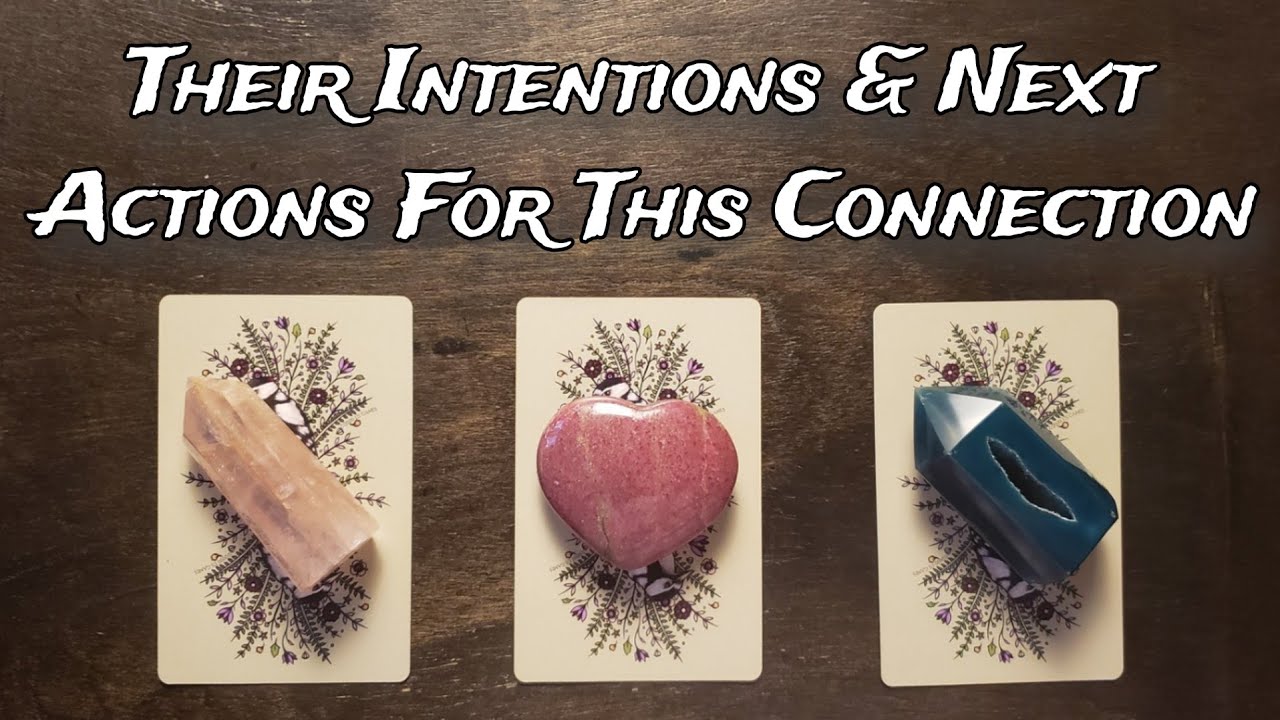 ♥️☎️ Their Intentions & NEXT Actions! 👑♥️ Pick A Card Love Reading