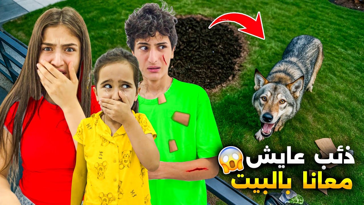 غرفةماما تحولت لكابوس... بسبب الذئب!