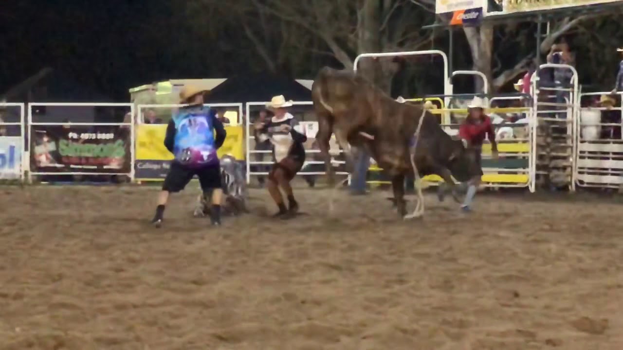 Dalton Poole Bullfighting Highlights from Calliope Rodeo 2018