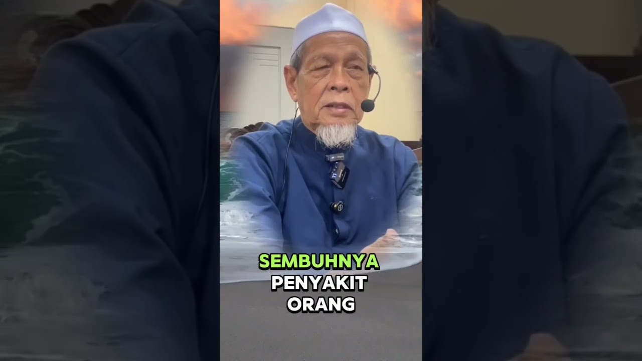 Kayu kokka