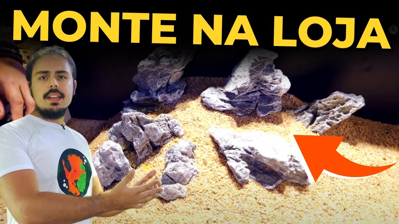 🔴APRENDA A MONTAR UM HARDSCAPE BONITO! |Mr. Betta|