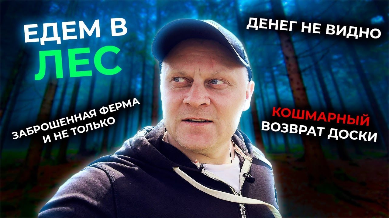 Едем в Лес