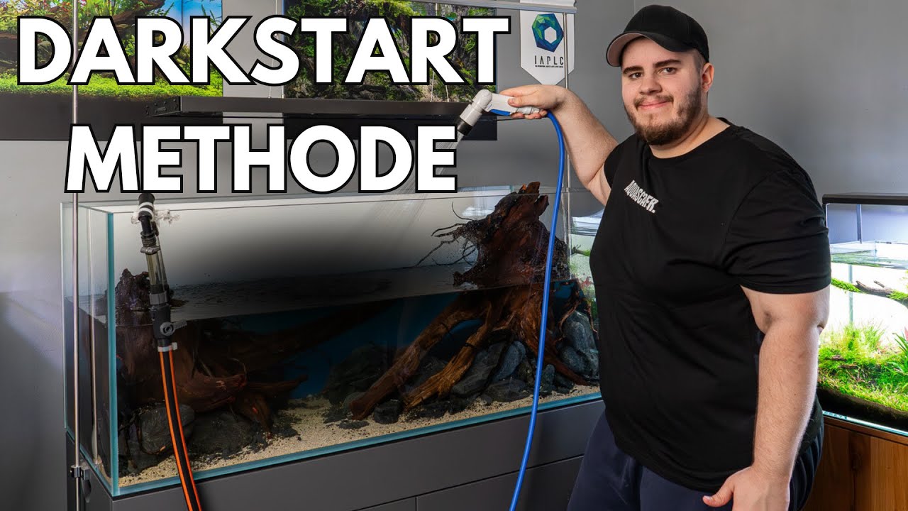 Darkstart Methode: Keine ALGEN & schmelzende Pflanzen in der Einlaufphase!