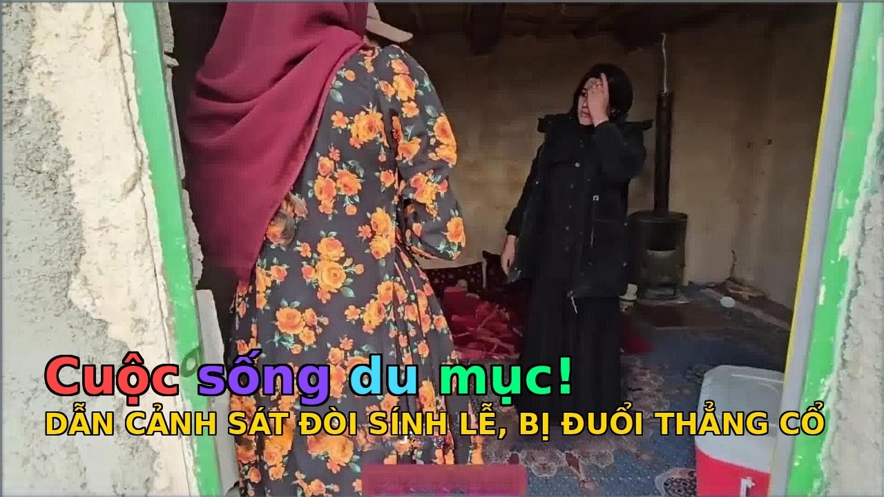 Azufa - TẬP 997: Đã trả sính lễ còn dẫn cảnh sát đến đòi kẻ lật lọng bị đuổi thẳng.