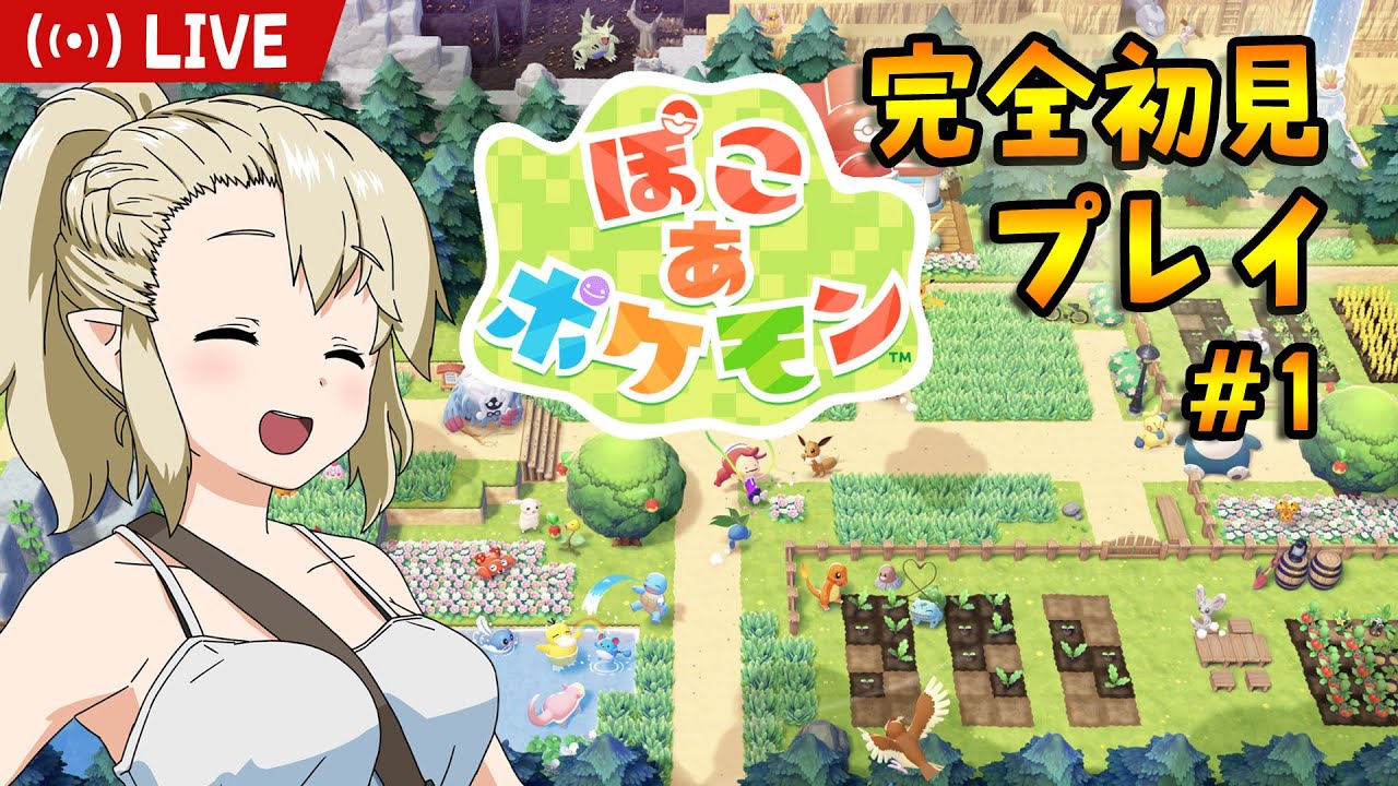 【ぽこあポケモン】メタモンのくるぎーちゃん #1