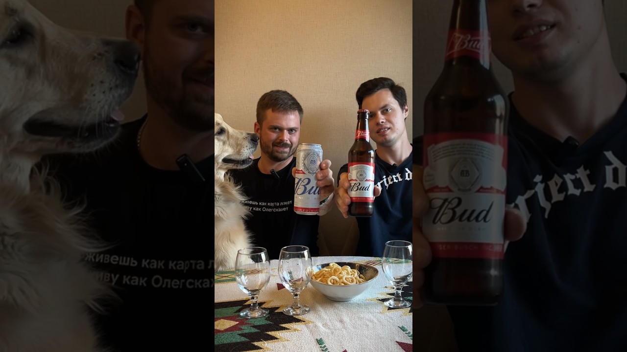 Пробуем пиво Bud