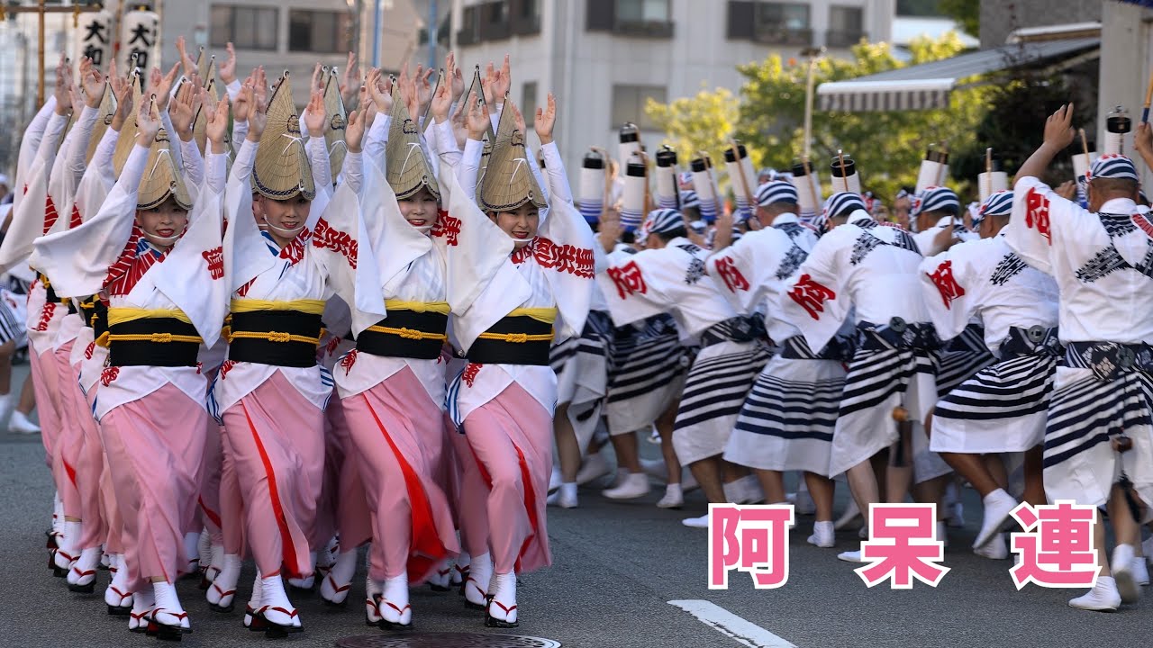 Как и ожидалось, Ахорен был великолепен. Ахорен 2024 #AwaOdori #AwaOdori